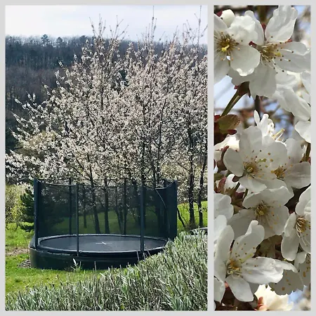 빌라 Ablakanapra 머트러푸레드